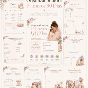 Organizador de los Primeros 90 Días – PDF premium rellenable