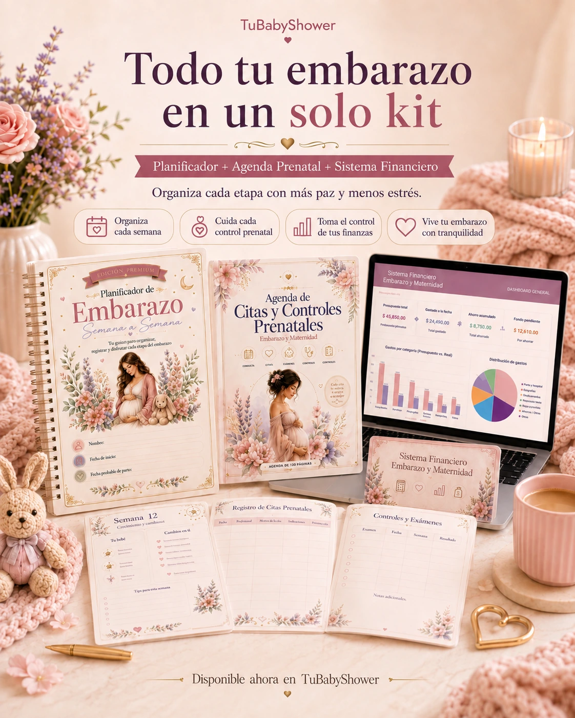 Kit Embarazo Organizado