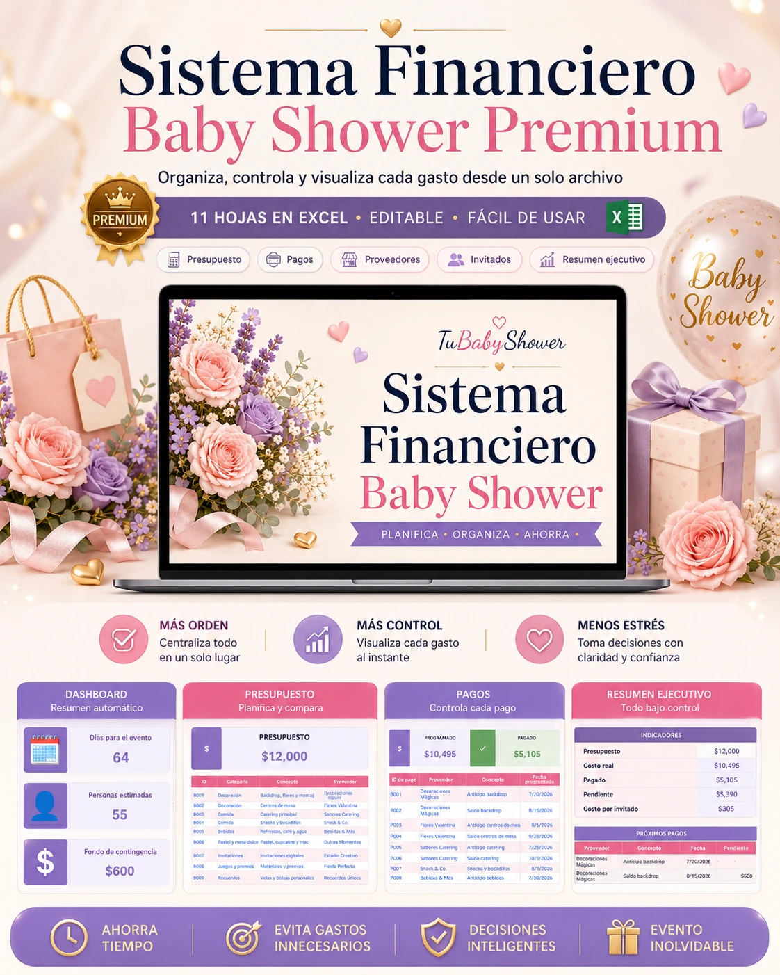 Vista previa de Sistema Financiero Baby Shower