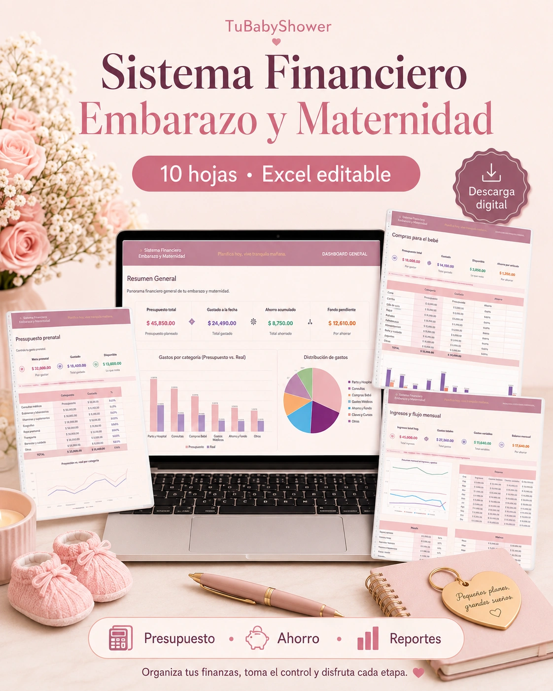 Vista previa de Sistema Financiero Embarazo y Maternidad
